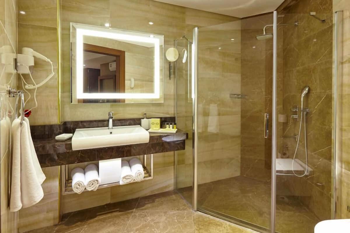 shower, free toiletries, hair dryer, bathrobes