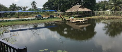 Kawasan hartanah