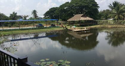 Baan Purita