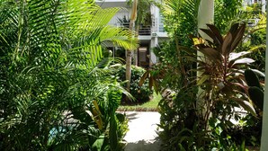 Un jardin intérieur luxuriant, avec un sentier menant à l’entrée d’un bâtiment.