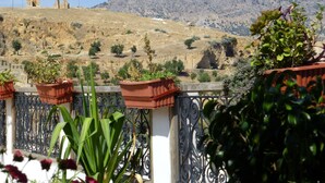 A balcony with potted plants, a wrought iron fence, and a view of a hill with ruins and sparse vegetation. - Dar Naima - Hostel (Fes)