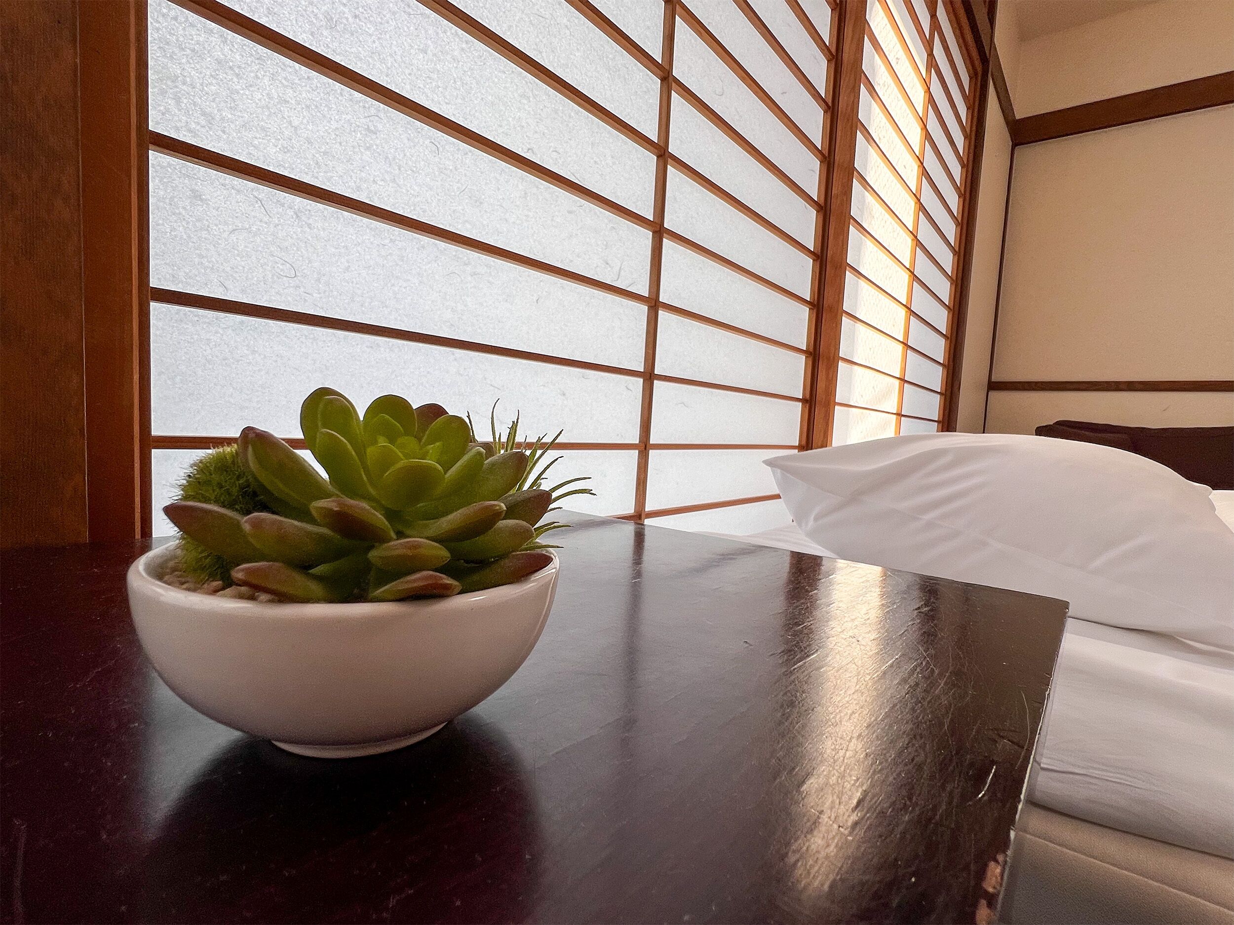 A room with a bed, a white pillow, and a white bowl with a succulent plant on a dark wooden table.
