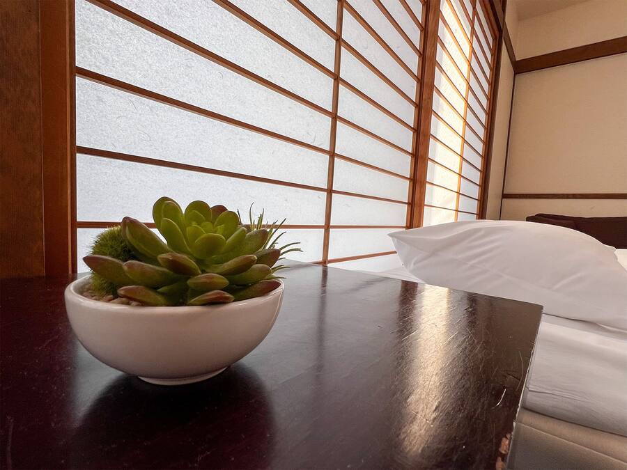 A room with a bed, a white pillow, and a white bowl with a succulent plant on a dark wooden table.