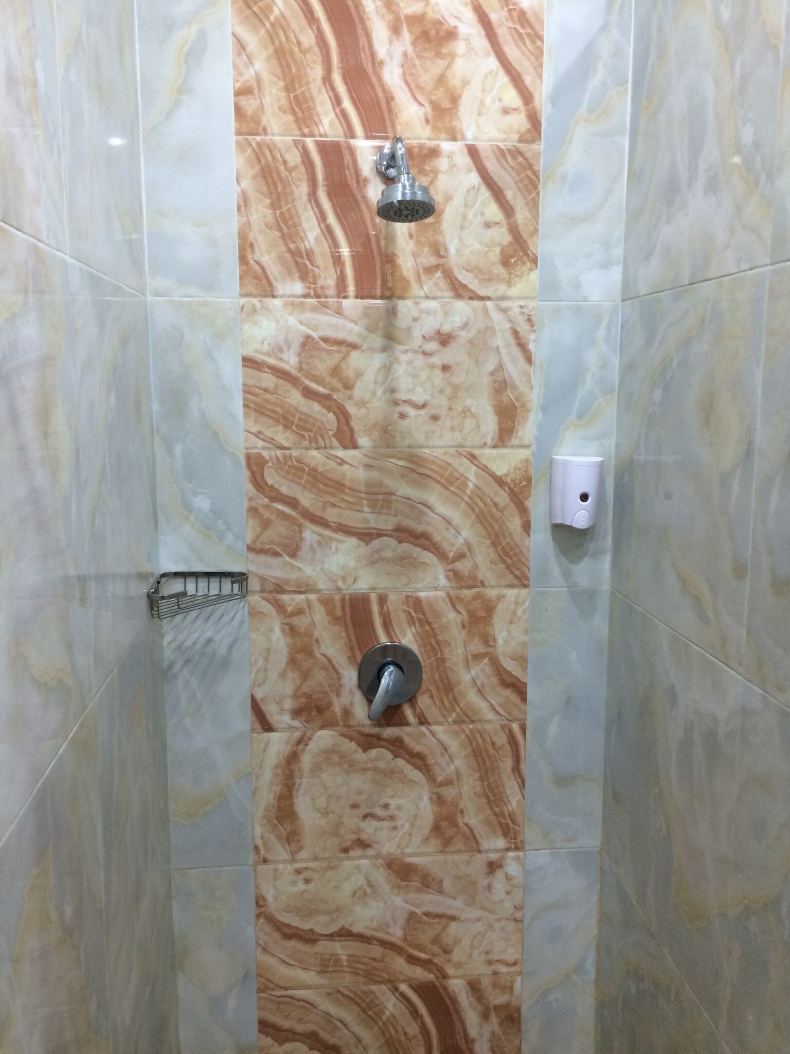 Un espace douche avec un mur en marbre, une douchette à main et un robinet mural.