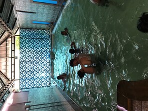 Indoor pool - Palm Rivera - Hostel (Kochi)