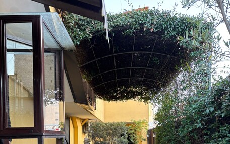 A narrow pathway flanked by potted plants and a building with a yellow facade.