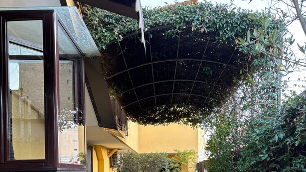 A narrow pathway flanked by potted plants and a building with a yellow facade. - Home To Fly (Naples)