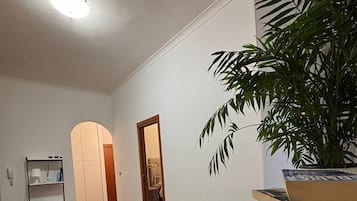 Flat-screen TV