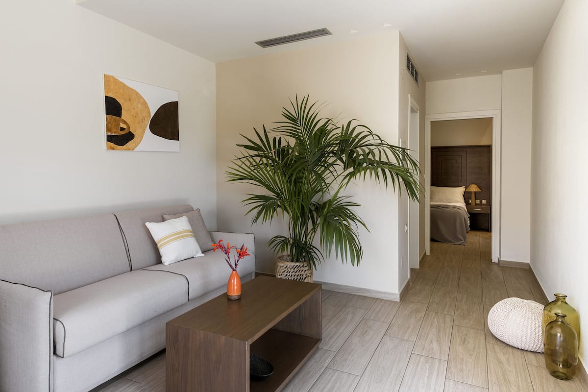 Una sala de estar moderna con un sofá gris, una mesa de centro de madera y una planta grande en maceta.