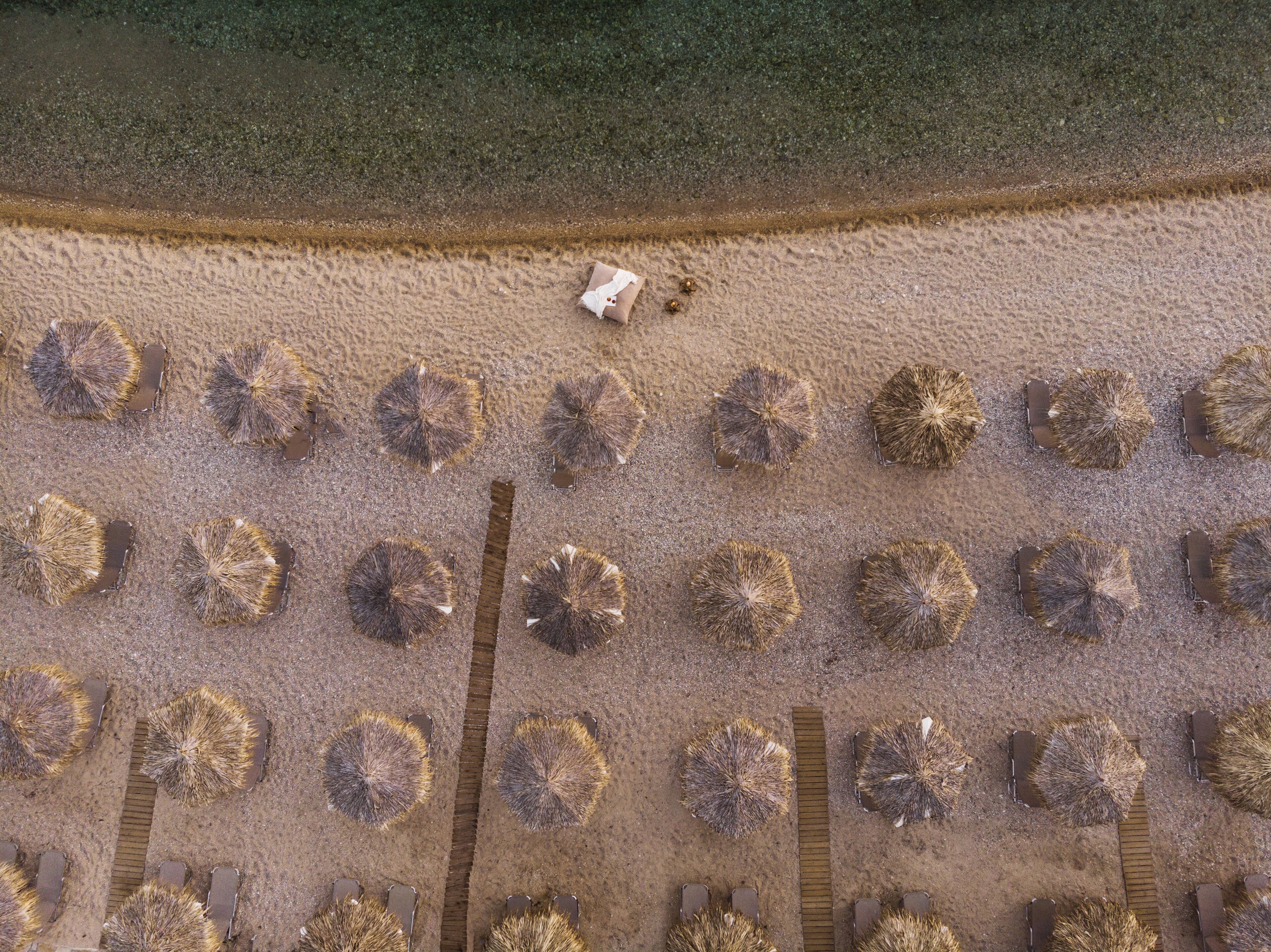An aerial view of a beach with circular formations of seaweed or seaweed-like structures, possibly for decoration or research purposes.
