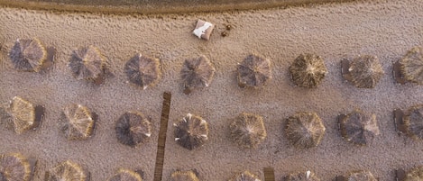 An aerial view of a beach with circular formations of seaweed or seaweed-like structures, possibly for decoration or research purposes.