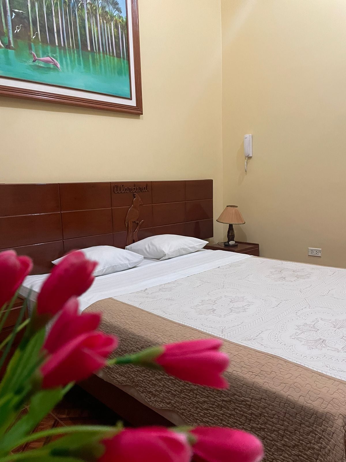 Foto - Alojamiento El Cardenal