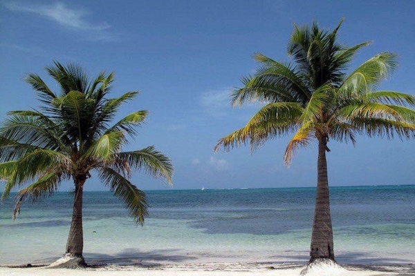 In StrandnÀhe, Windsurfen
