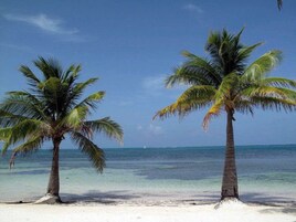 Vlak bij het strand, windsurfen