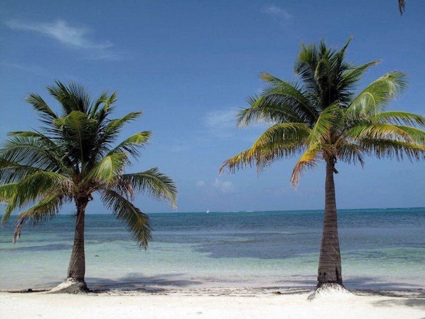 Ubicación cercana a la playa y windsurf