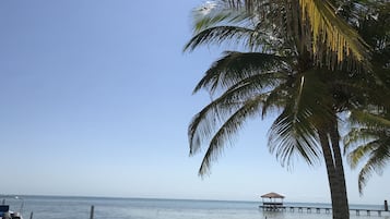 Plage à proximité, planche à voile