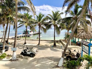 Beach/ocean view