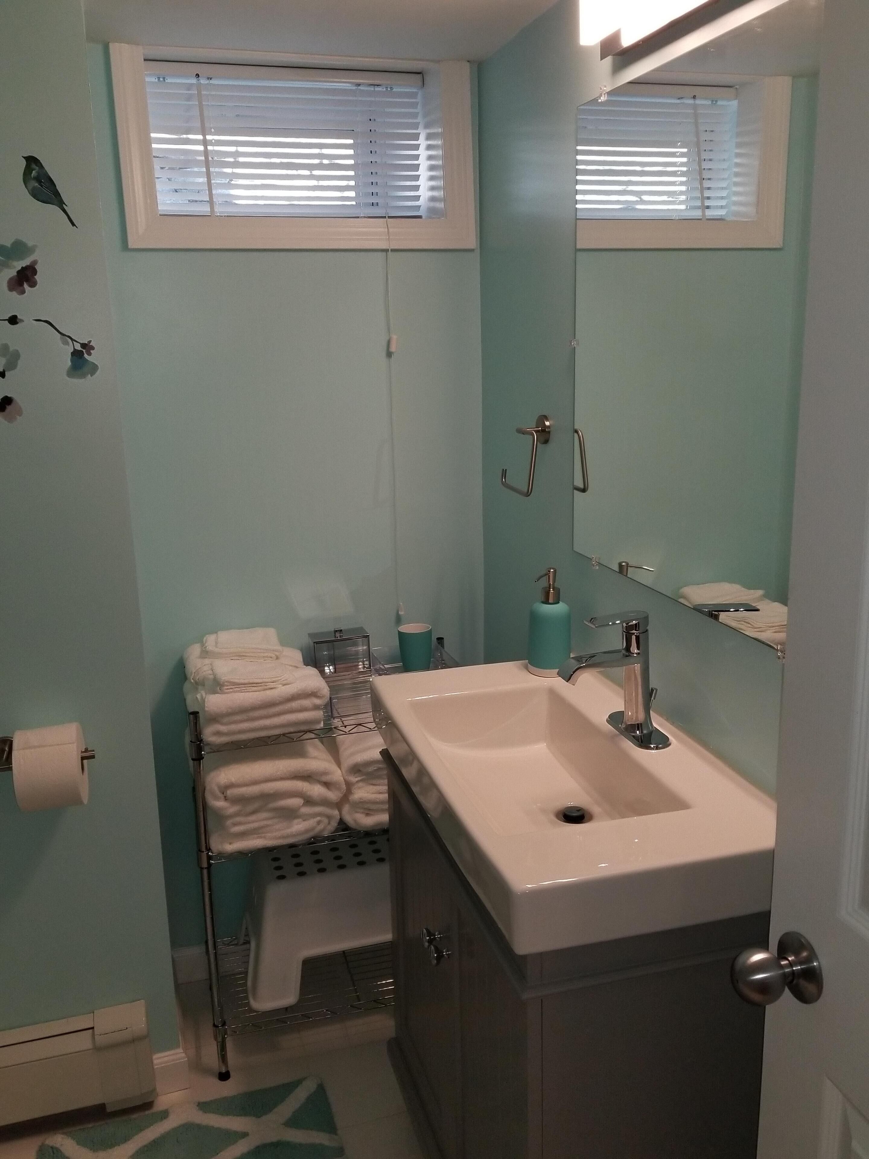 淋浴设施、吹风机、毛巾、肥皂