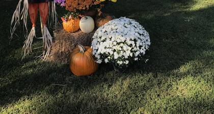 McDonald Inn 15 Min from Ohio University, 25 min to Hocking Hills, Hot Tub