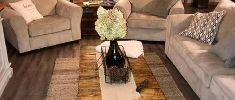 Televisión, chimenea, reproductor de DVD y libros