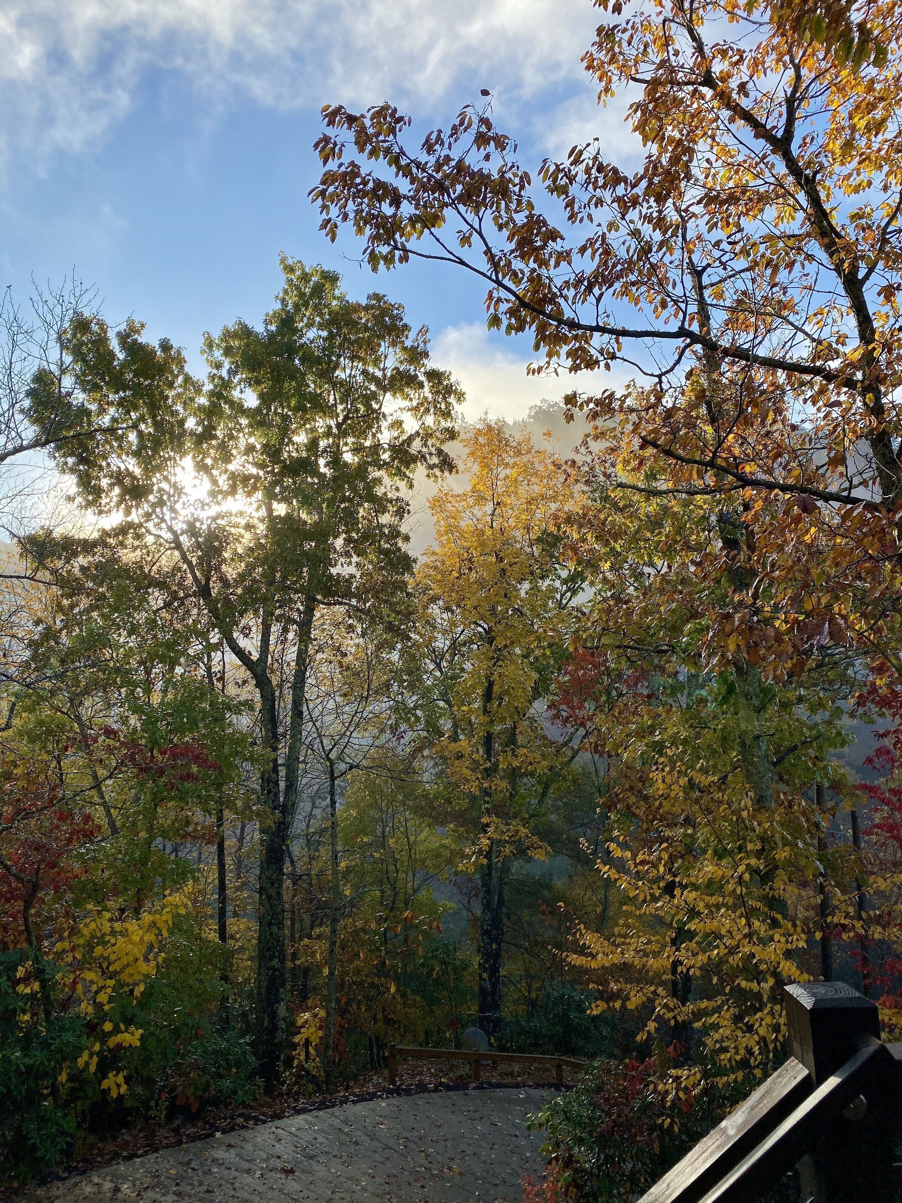Morning mist.
