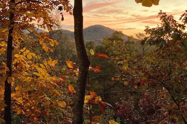 Fall Splendor