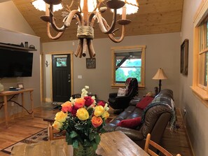 Älytelevisio, takka, DVD-soitin, kirjoja