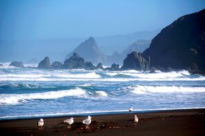 Beach towels - You found Paradise to relax and enjoy nature ! (Manchester)