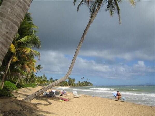 Playa en los alrededores, camastros y toallas de playa 