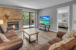 TV, fireplace, DVD player