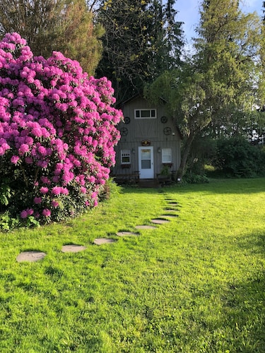 ⭐️Wildflower Country Cottage