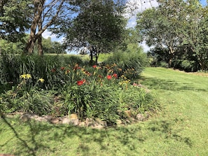 Property grounds - ⭐️Wildflower Country Cottage (Oxford)