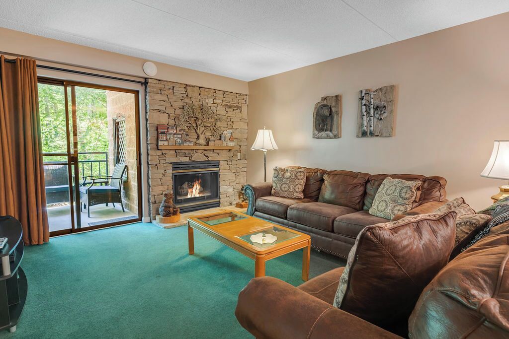 电视、壁炉、DVD 播 放器