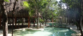 Tropical Paradise Apartment Fully furnished and equipped.