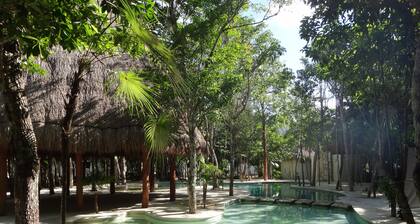 Tropical Paradise Apartment Fully furnished and equipped.