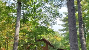 Une cabane dotée d’une terrasse en bois et de fondations en pierre, entourée de grands arbres et d’une zone herbeuse.
