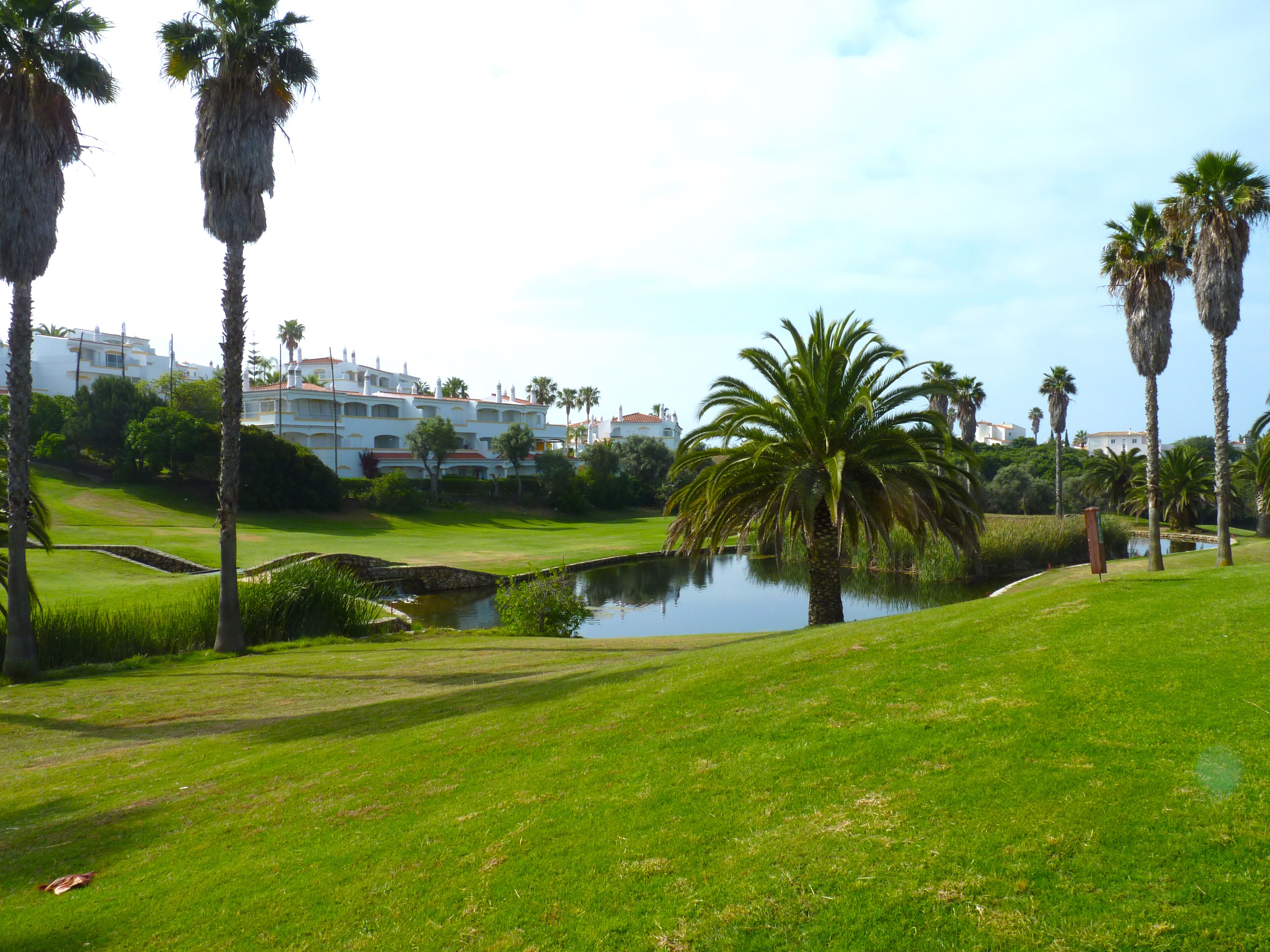 Un campo de golf con un estanque, palmeras y edificios al fondo.