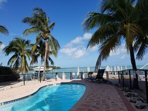 A swimming pool with palm trees, a beach, and a view of the ocean. - Views ~ Pool~Private Hot Tub~FREE Boat Slip~Heaven!!! (Marathon)
