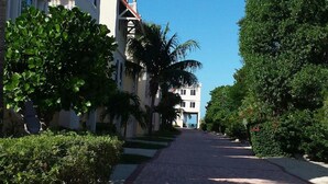 A paved pathway lined with palm trees and lush greenery, leading to a building with a white facade and red accents.