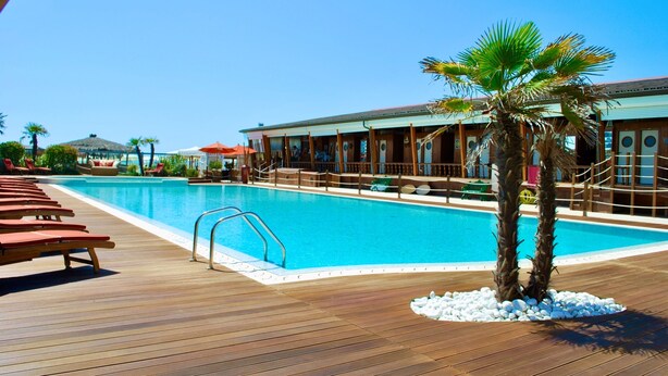 A pool area with wooden deck, lounge chairs, and a palm tree. - La Vue Sur La Mer Beach House (Viareggio)