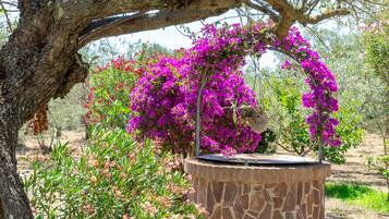 Parco della struttura