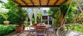House under the olive trees