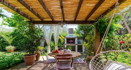 House under the olive trees