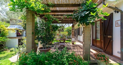 Haus unter den Olivenbäumen