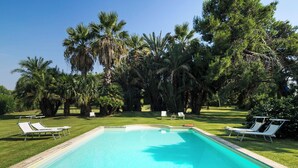 Ein rechteckiger Swimmingpool mit klarem, blauem Wasser, umgeben von einer gepflegten Rasenfläche und Palmen.