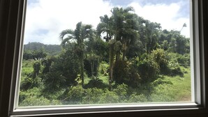 A window view of a lush green landscape with palm trees and dense foliage. - Summit Condominium and Hotel (Saipan)