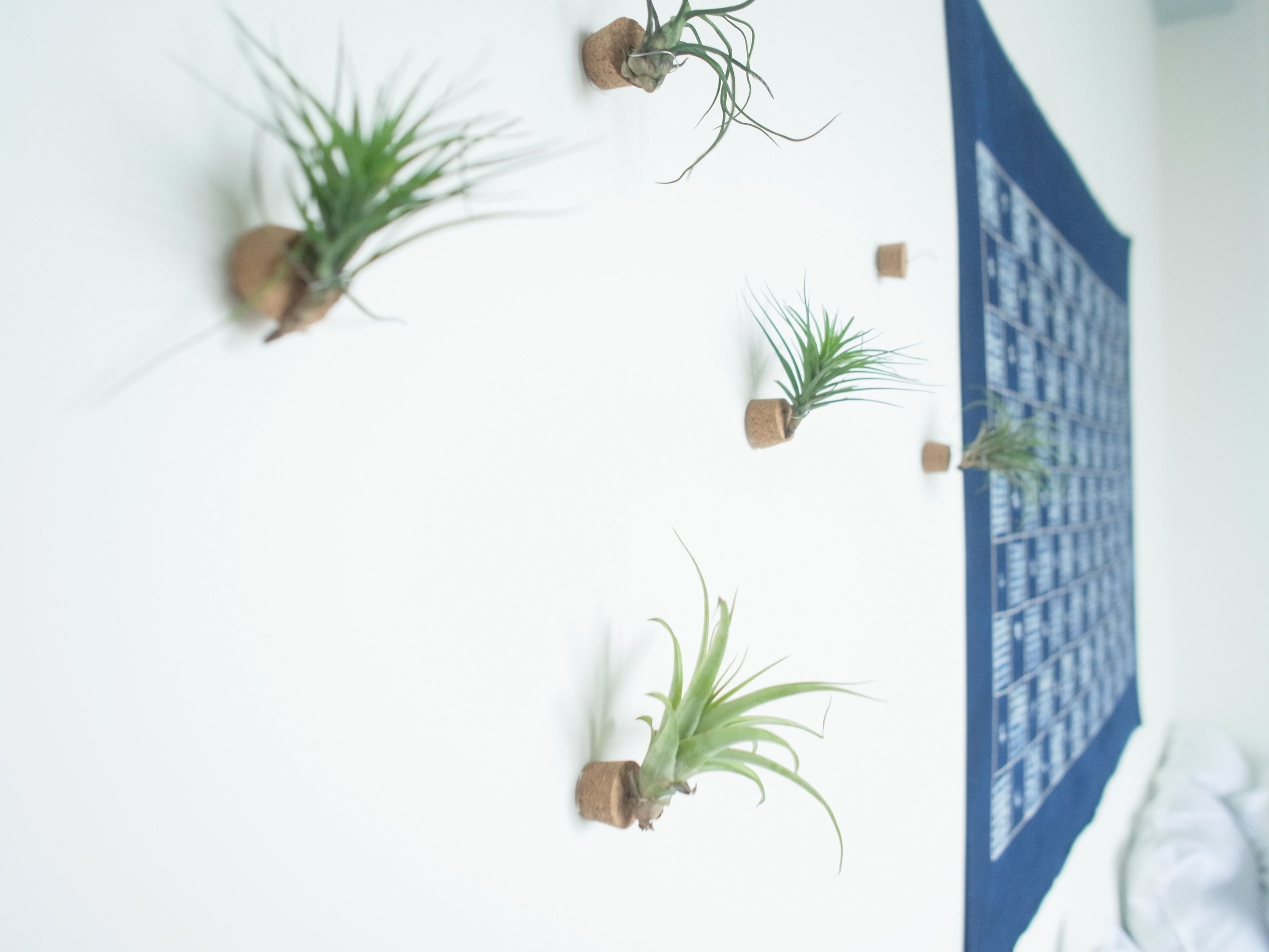 Deluxe Quadruple Room, Terrace, Mountain View (Room Jan.) | Individually decorated, individually furnished, desk, blackout curtains