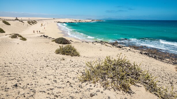 Uma praia com águas turquesa cristalinas, dunas de areia e vegetação rasteira.