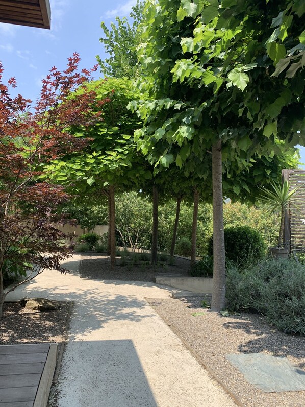 A garden pathway with trees and shrubs, a wooden deck, and a gravel area. - BACK OF SAINT FLORENT COUNTRY. POOL AND SPA (Oletta)