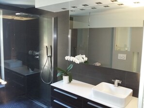 Combined shower/tub, hair dryer, towels, toilet paper - BACK OF SAINT FLORENT COUNTRY. POOL AND SPA (Oletta)